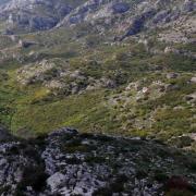 test image